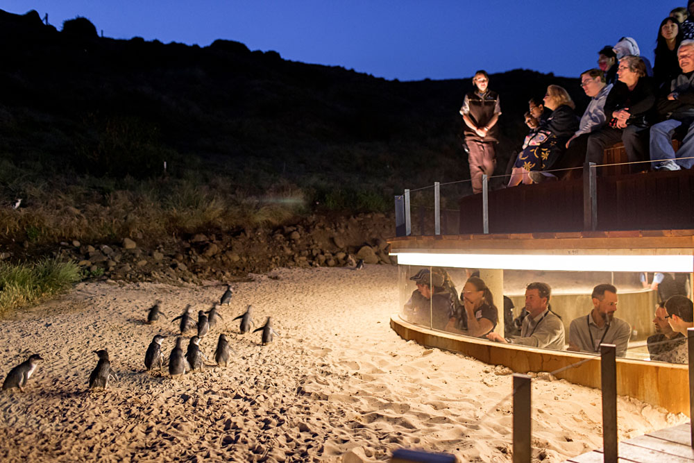 10 superbes sorties à Melbourne pour vos vacances en Australie 10