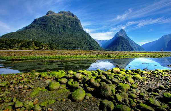 Australie ou Nouvelle-Zélande : Quelle destination emblématique vous convient le mieux pour des vacances dans le Pacifique Sud ? 6