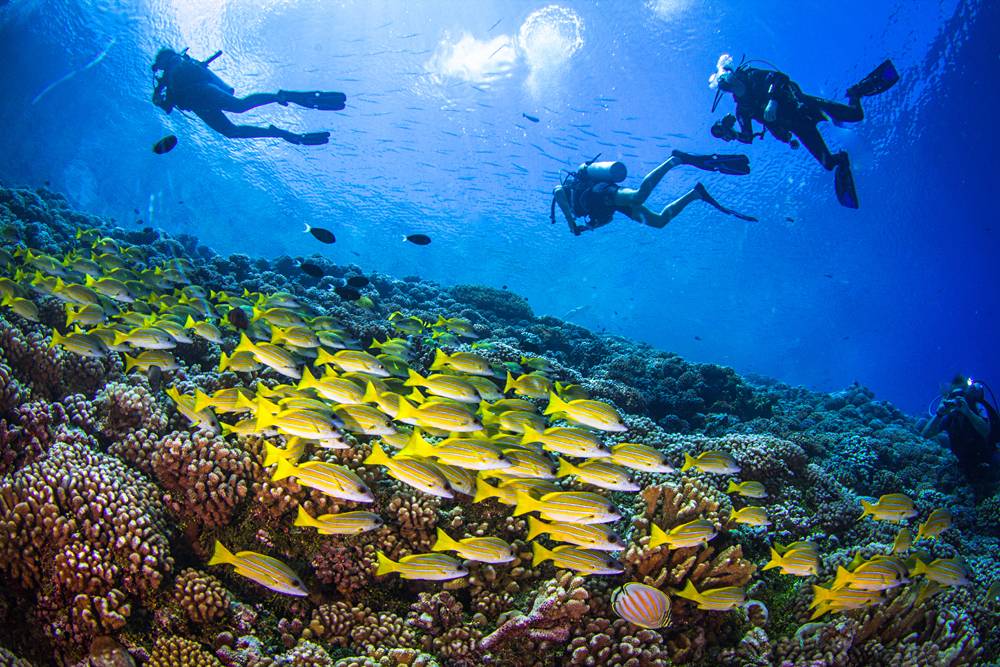 Aventures avec Aranui Cruises lors de vacances dans le Pacifique Sud 3