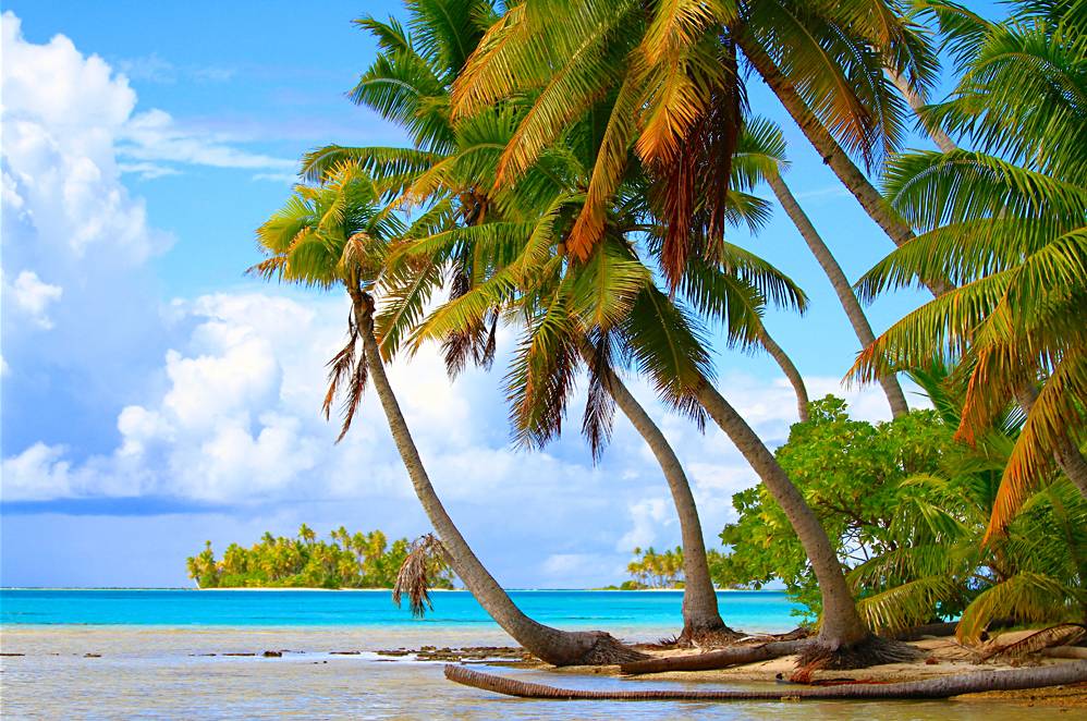 Aventures avec Aranui Cruises lors de vacances dans le Pacifique Sud 8
