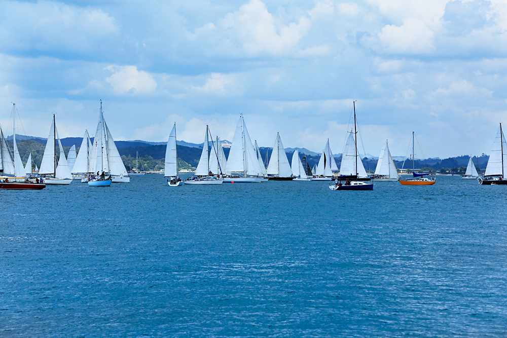 Bay of Islands - Un paradis tropical à découvrir lors de vos vacances en Nouvelle-Zélande 5