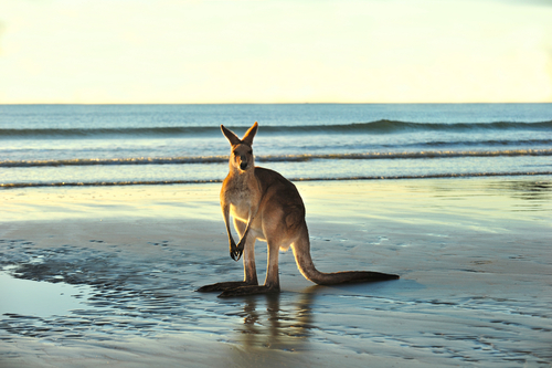 De bonnes idées de voyage et des destinations à visiter à Downunder cet été 2