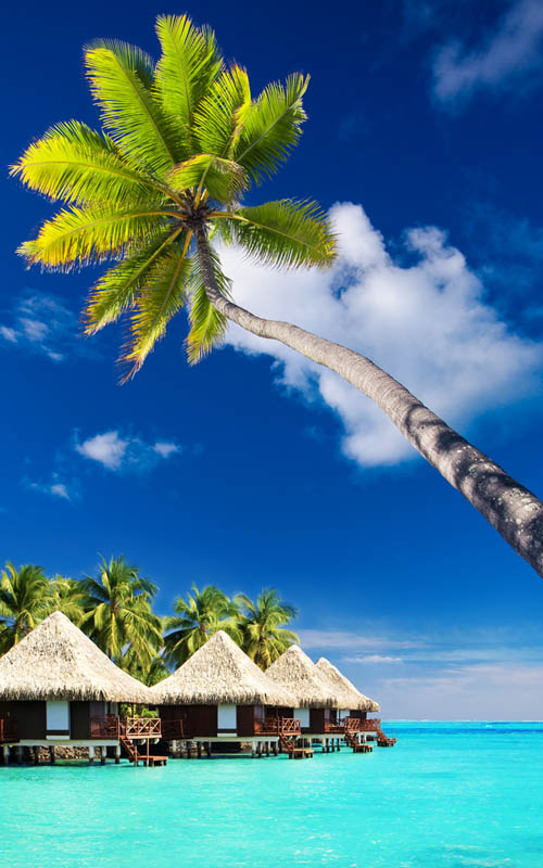 Découvrez la beauté époustouflante de Moorea dans le cadre de vos vacances dans les îles de Tahiti. 3