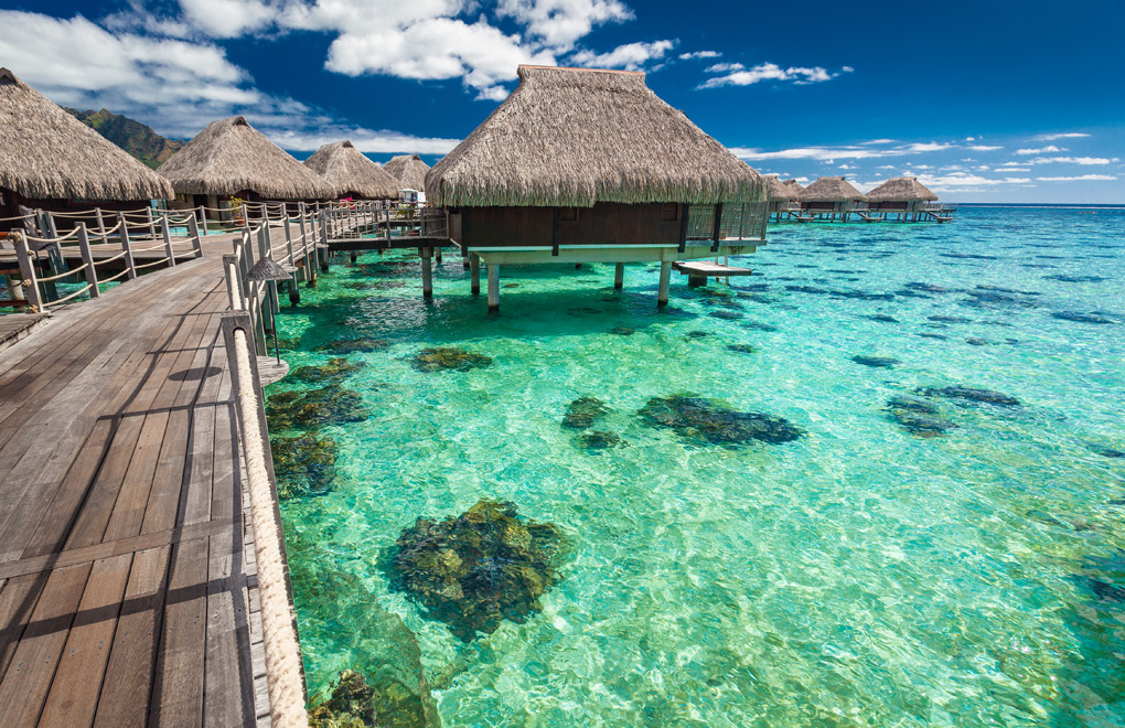 Découvrez la beauté époustouflante de Moorea dans le cadre de vos vacances dans les îles de Tahiti. 4