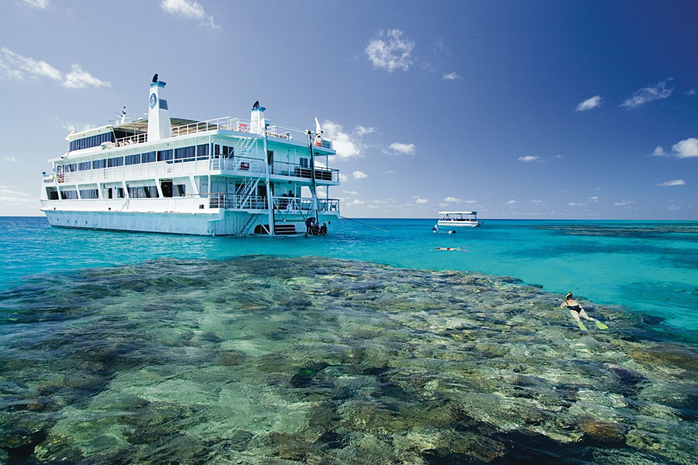 Découvrez la grande barrière de corail d'Australie 4