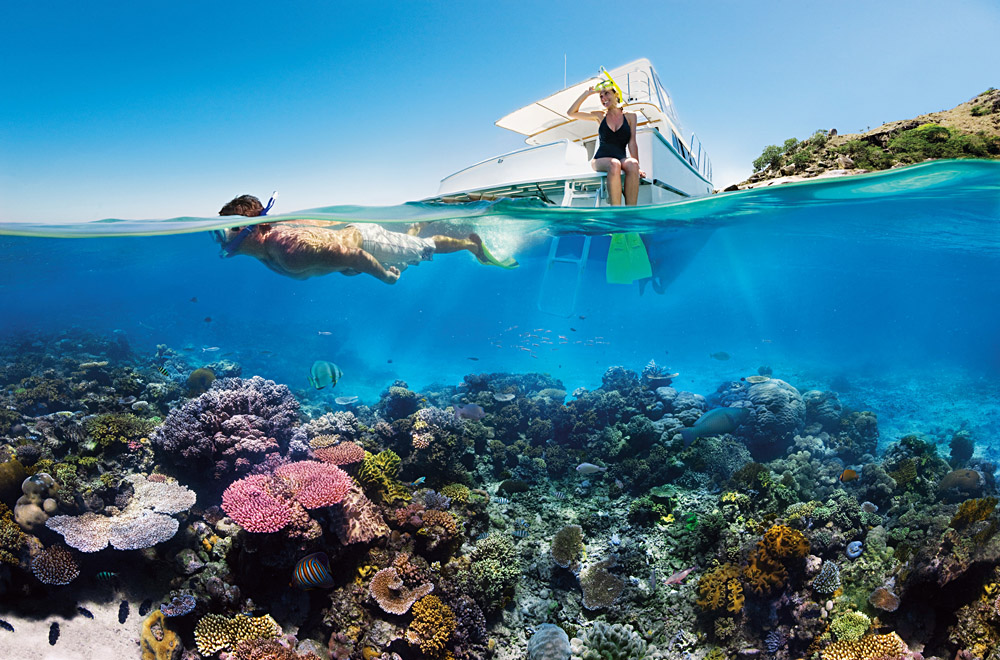 Découvrez la grande barrière de corail d'Australie 5