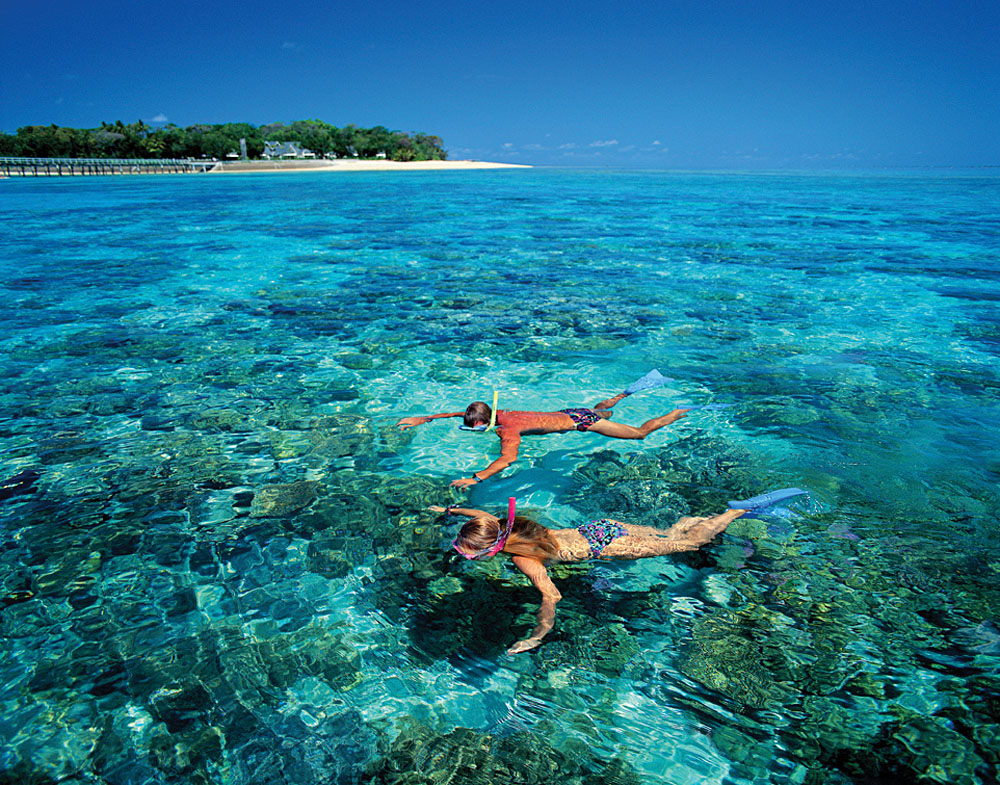 Découvrez la grande barrière de corail d'Australie 8
