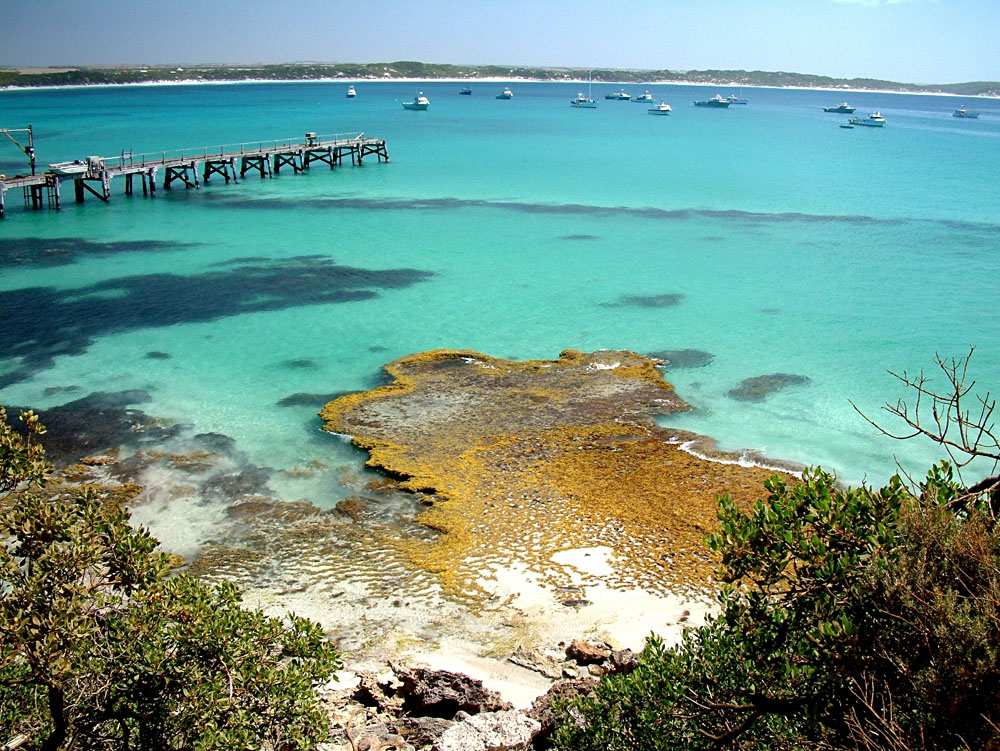 Découvrez la nature sur l'île de Kangaroo en Australie 3