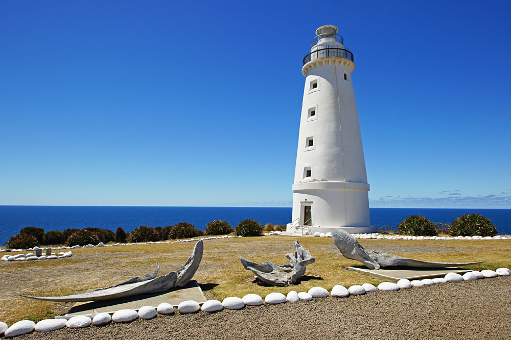 Découvrez la nature sur l'île de Kangaroo en Australie 5