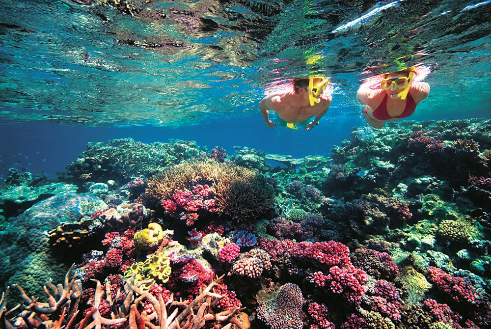 Destinations écotouristiques : Australie 2