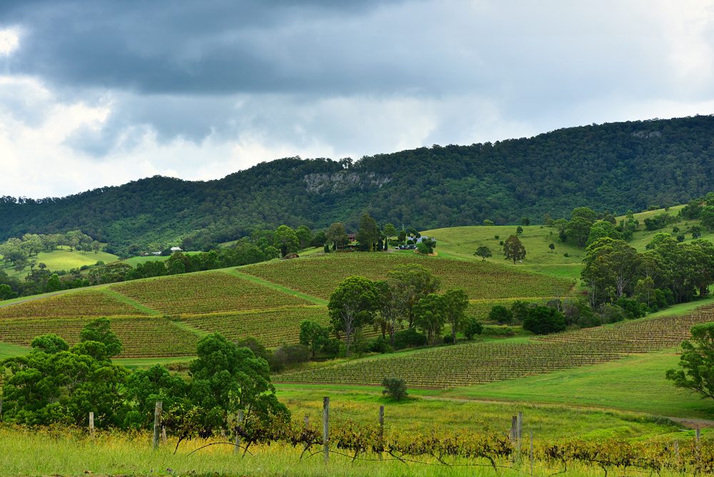Explorer la Hunter Valley lors d'un voyage en Australie 4