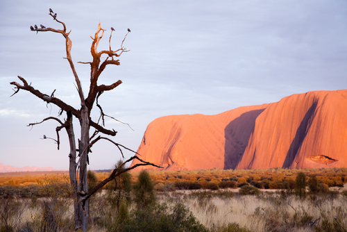 Explorer l'Australie 7