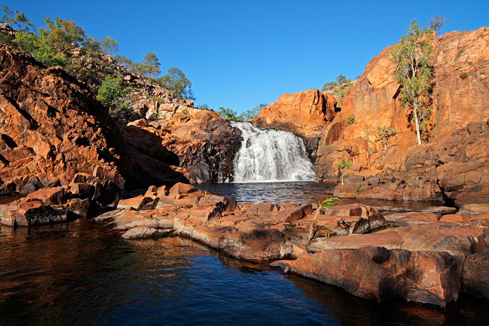 Explorez la faune et la flore du Territoire du Nord pendant vos vacances en Australie. 1