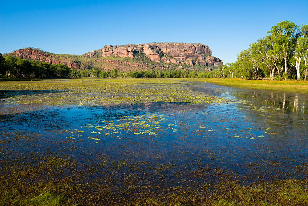 Explorez la nature dans le parc national de Kakadu, en Australie 1