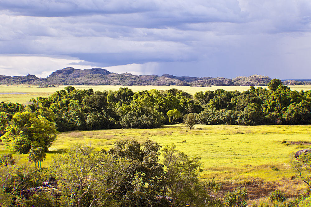 Explorez la nature dans le parc national de Kakadu, en Australie 2