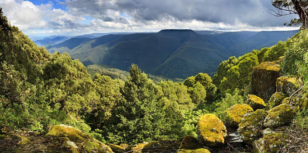 Explorez toutes les attractions de la Hunter Valley, Australie 3