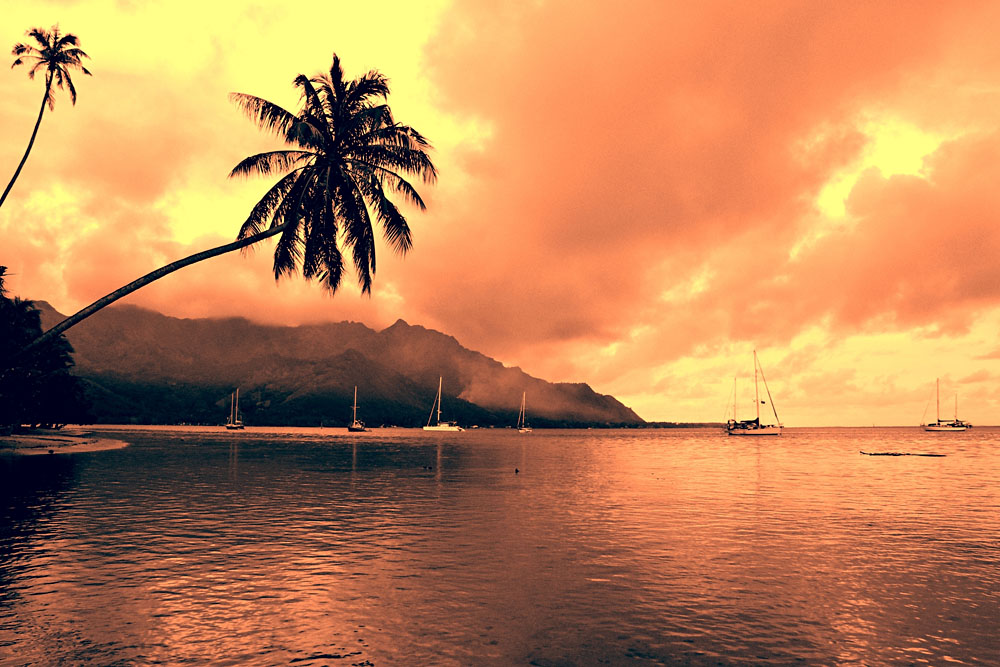 Guide du gourmet à Tahiti 4