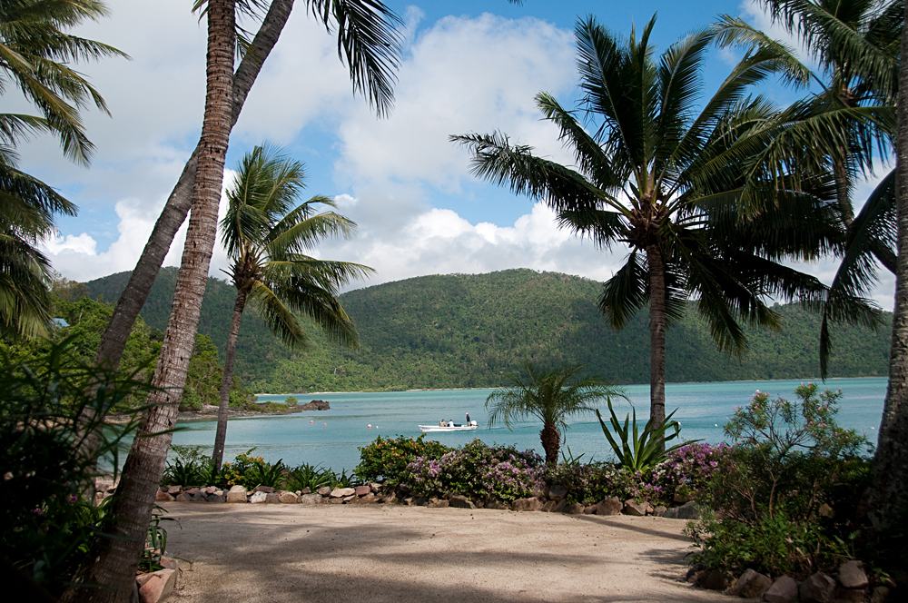 Guide ultime des îles Whitsunday d'Australie 6