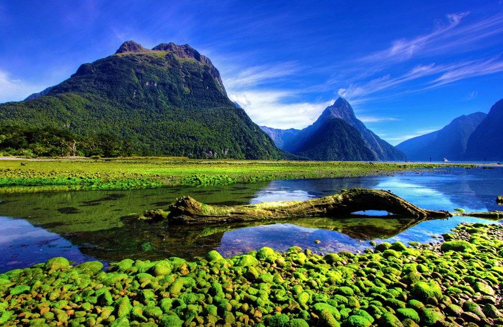 Île du Nord vs Île du Sud sur New Zealand Travel 2