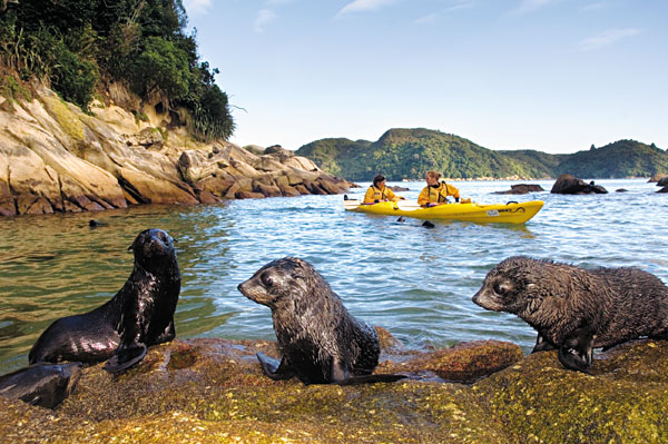 La beauté naturelle du parc national d'Abel Tasman en Nouvelle-Zélande 6