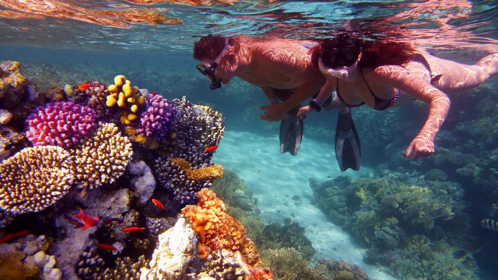 L'Australie est faite pour être découverte 6