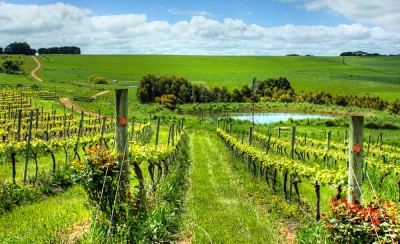 L'Australie-Méridionale est un État plein d'entrain qui offre de belles expériences australiennes. 2