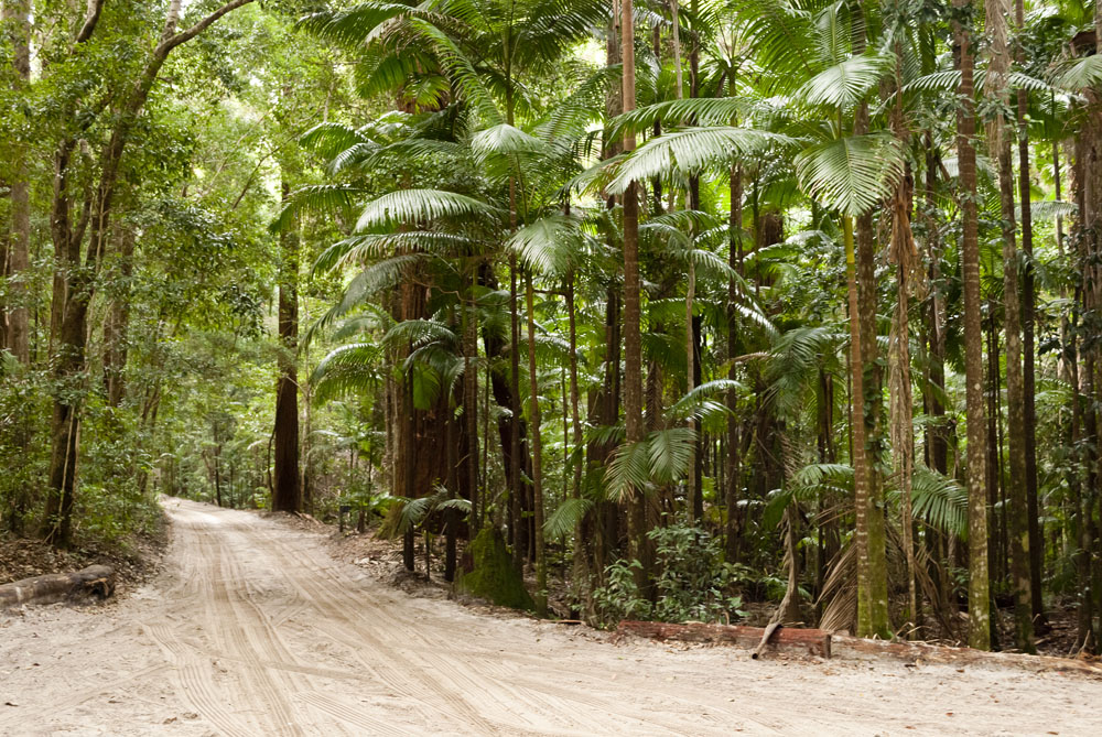 L'Australie offre une beauté exceptionnelle avec l'île Fraser 2