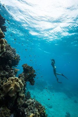 Le facteur "Wow" des Whitsundays sur Travel to Australia 5