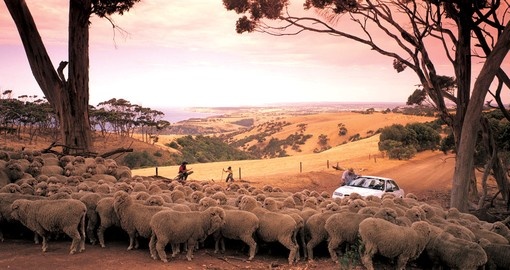 Le grand voyage en Australie 3