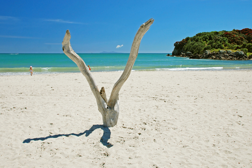 Le Mont Maunganui en Nouvelle-Zélande - Comment vivre ici cet hiver 2