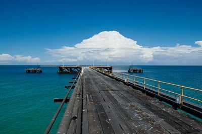Le récif de Ningaloo : L'autre attrait de l'Australie pour le corail 3