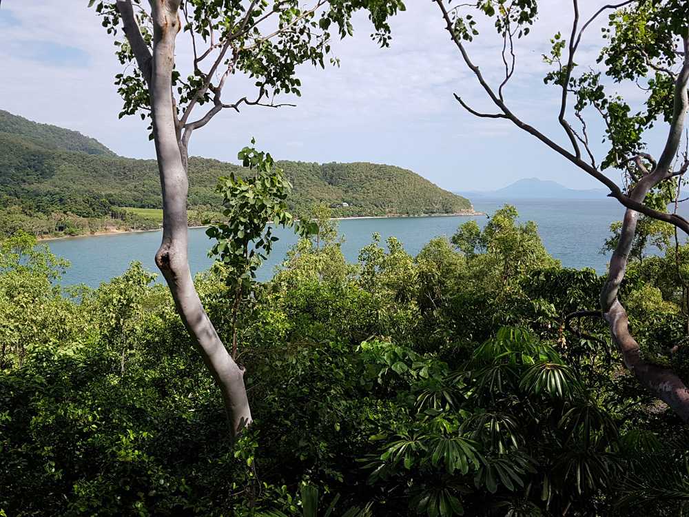 Le Thala Beach Resort ramène vos vacances dans le Queensland à la nature. 3