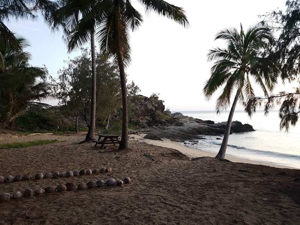 Le Thala Beach Resort ramène vos vacances dans le Queensland à la nature. 4