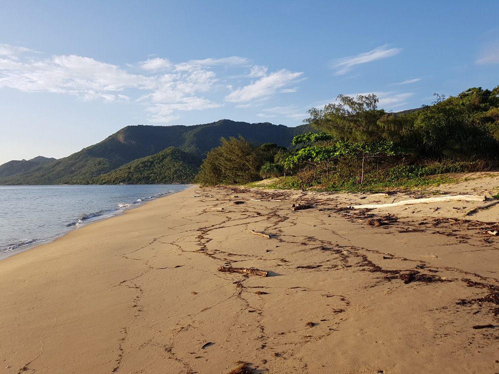 Le Thala Beach Resort ramène vos vacances dans le Queensland à la nature. 5
