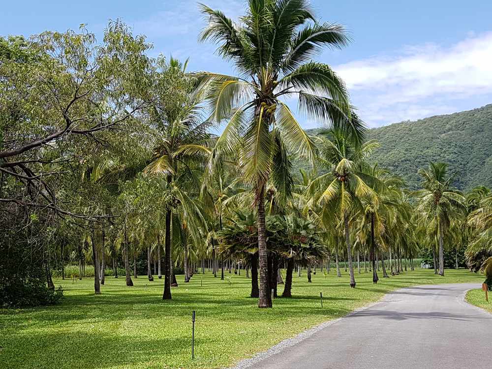Le Thala Beach Resort ramène vos vacances dans le Queensland à la nature. 6
