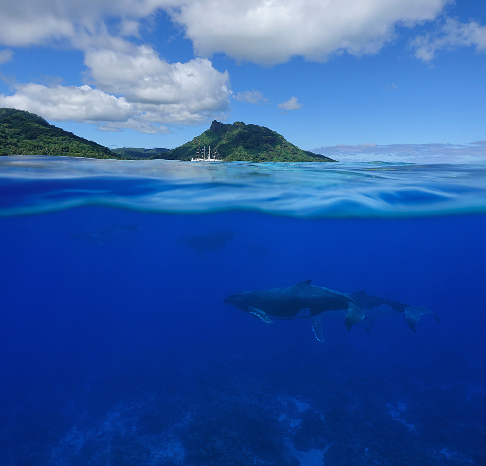 Les 5 meilleures excursions d'une journée à Bora Bora pendant vos vacances dans les îles de Tahiti 5