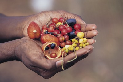 Les 6 meilleures expériences aborigènes en Australie pour les globe-trotters 2