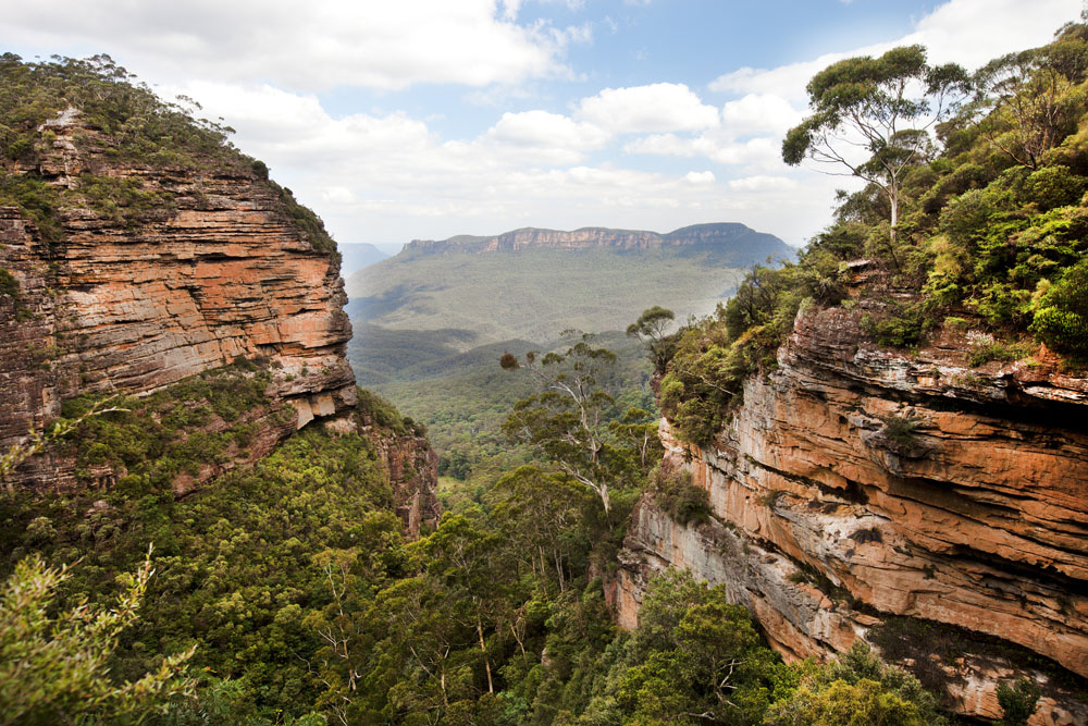 Les extraordinaires Blue Mountains en Australie 2