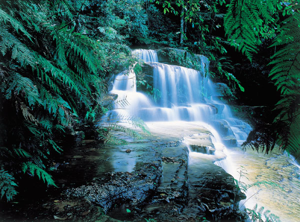 Les extraordinaires Blue Mountains en Australie 6