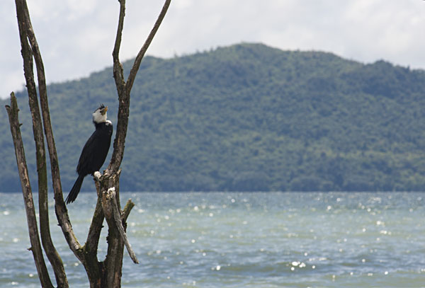 Les îles uniques du Pacifique Sud 2