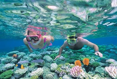 Les incontournables en Australie et en Nouvelle-Zélande pour passer des vacances parfaites 1
