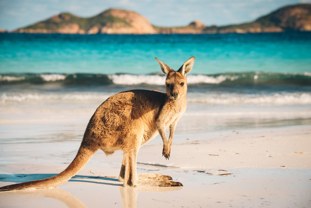 Les meilleures choses à faire en Australie occidentale 10