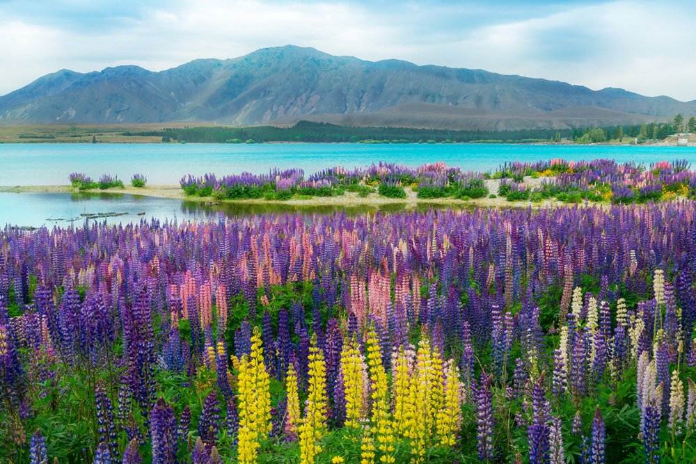 Les meilleurs sites de beauté naturelle à voir en Australie et en Nouvelle-Zélande 10