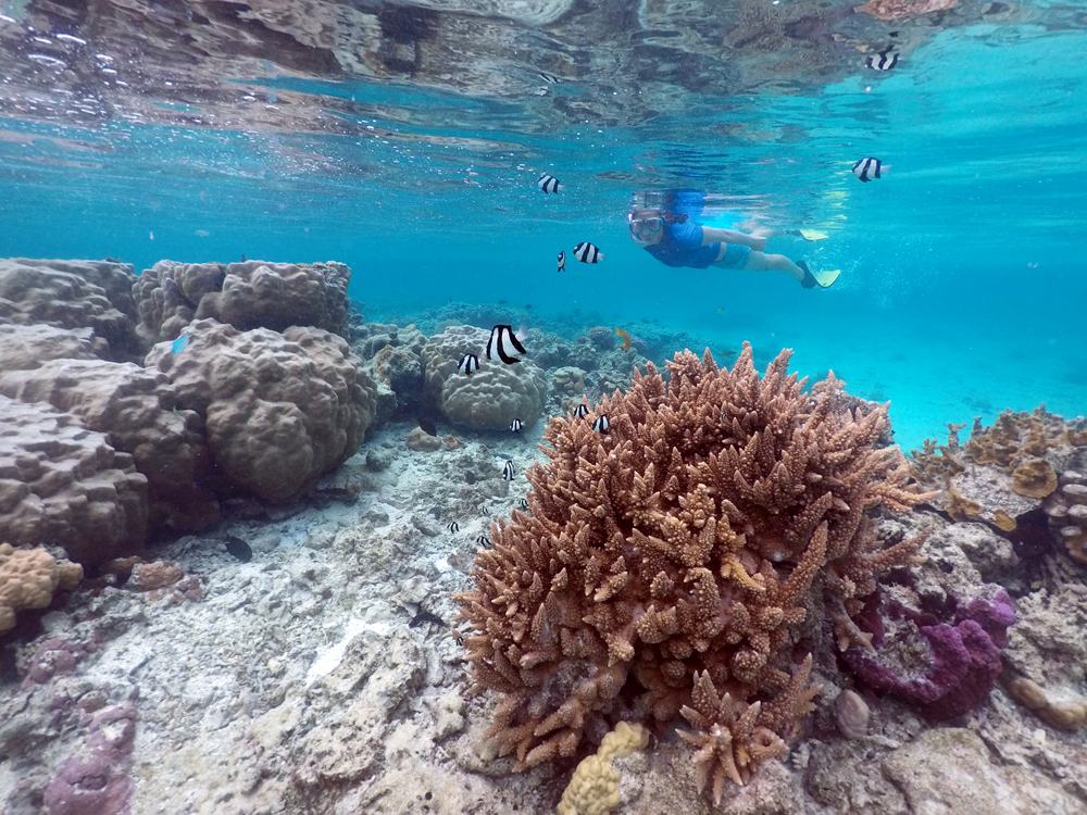 Les meilleurs spots de plongée dans le Pacifique Sud 4