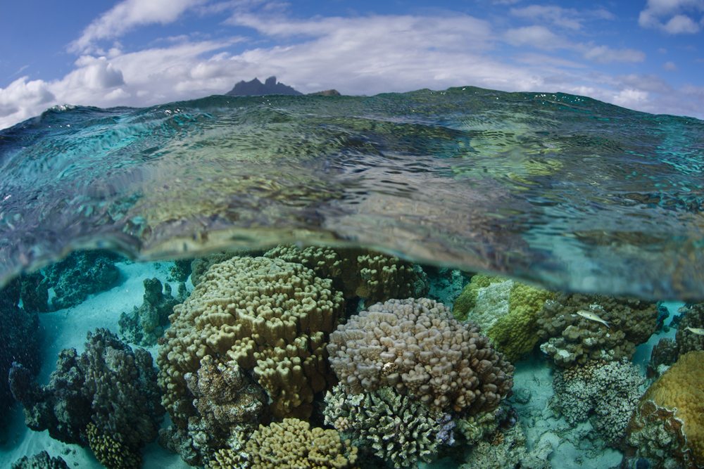 Les meilleurs spots de plongée dans le Pacifique Sud 5