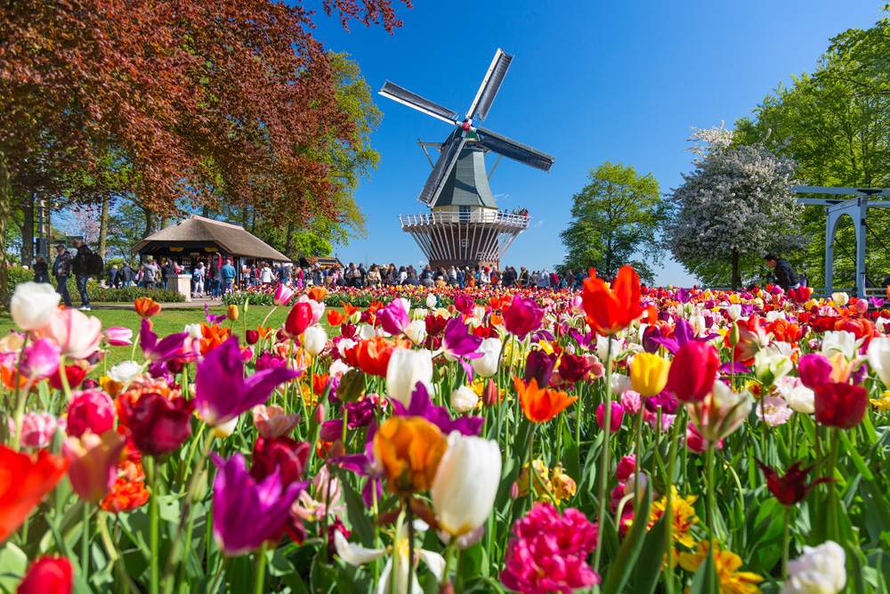 Les six plus beaux endroits à visiter lors des escapades de printemps 1