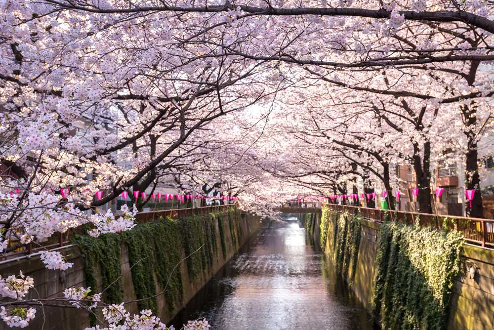 Les six plus beaux endroits à visiter lors des escapades de printemps 3