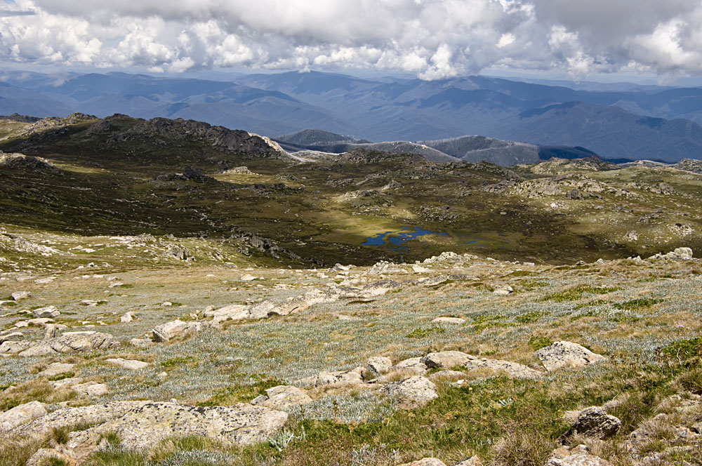 Les Snowy Mountains sont une attraction toute l'année en Australie 1