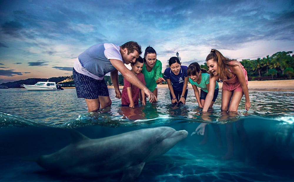 Nager avec les poissons en Australie 3