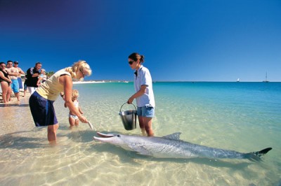 Nager avec les poissons en Australie 4